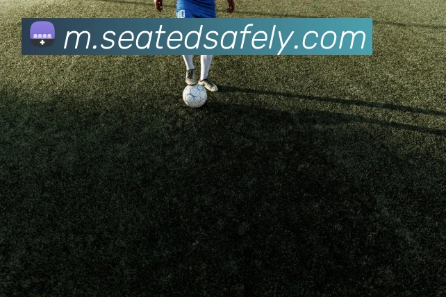 bbin官方网站平台生态图
